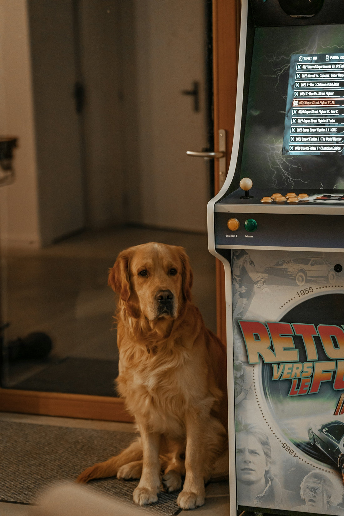 a dog sitting in front of a game machine